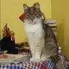 Отзыв от Ангелина Кравцова